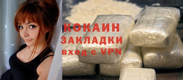 не бодяженный Гусев