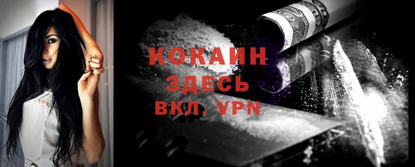 не бодяженный Гусев