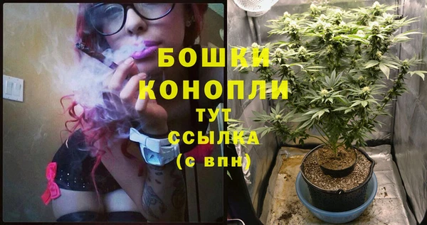 mdpv Гусиноозёрск