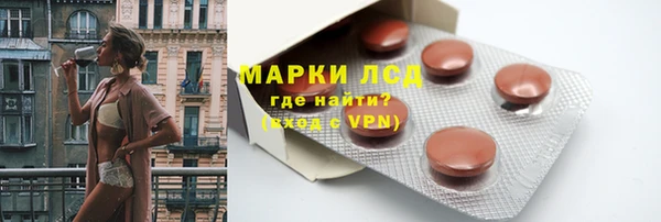 прущие грибы Горно-Алтайск