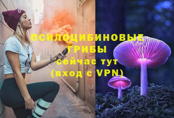 не бодяженный Гусев