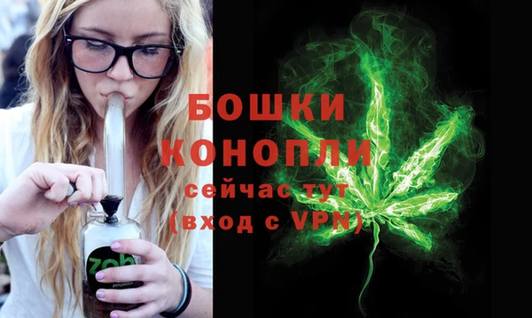 не бодяженный Гусев