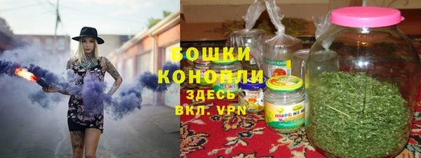 гидра Горняк